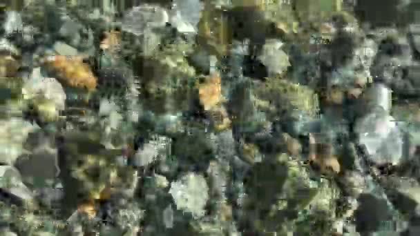 En klar bild av ett landskap som fångar stenarna under havet. — Stockvideo