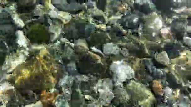 Eine klare Aufnahme einer Landschaft, die die Steine unter dem Meer einfängt. — Stockvideo