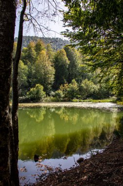 Yüksek kaliteli göl ve dağ manzarası ki bu da büyük doğa ile uyumdur..