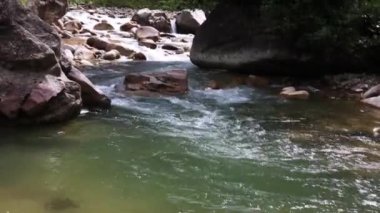 Türkiye 'deki Karadeniz' deki yaylalardan birinde yer alan bu küçük akarsu, soğuk tatlı suları ve muhteşem yeşil doğasıyla ziyaretçilerini hayrete düşüren bir güzelliğe sahip..