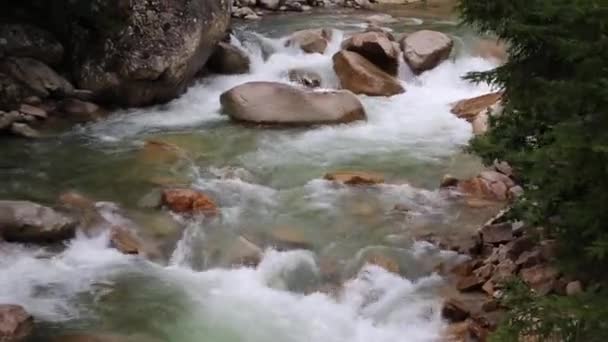 Położony w jednym z płaskowyży na Morzu Czarnym w Turcji, ten mały strumień ma piękno, które zachwyca swoich gości z jego zimnych wodach słodkich i wspaniałej zielonej przyrody. — Wideo stockowe