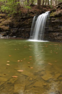 Suda yüzen yaprakları ile büyük şelale