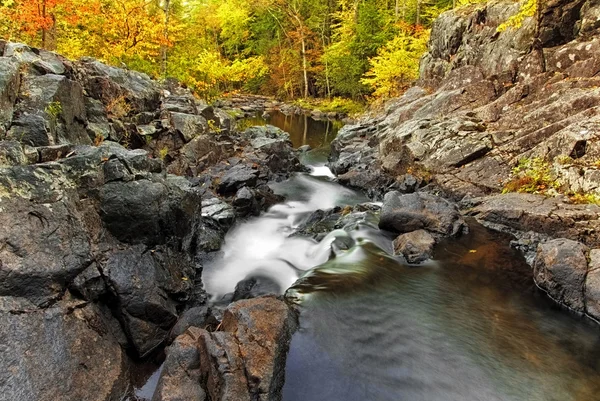 Bukett flod i Adirondacks — Stockfoto