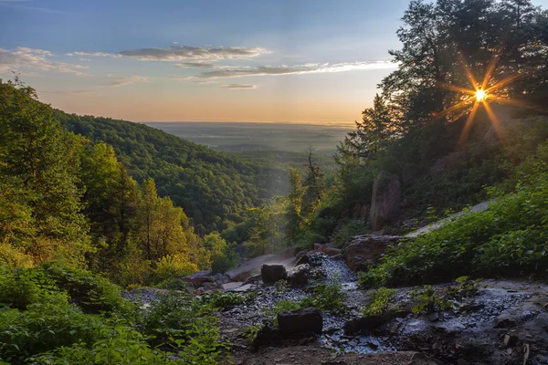 Thatcher Park — Stok fotoğraf