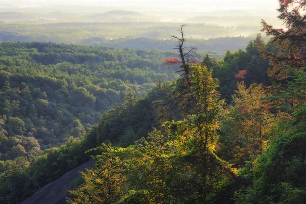 Erken sabah ışık Thatcher Park