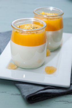 İtalyan tatlı panna cotta