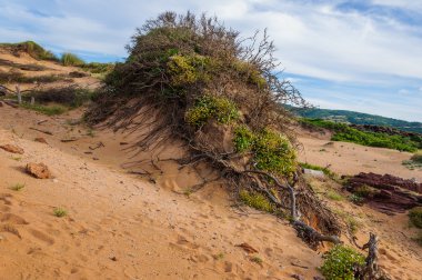 Bulutlu bir günde doğal park