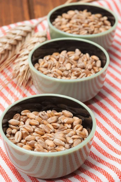 Cereali di grano in tre ciotole — Foto Stock