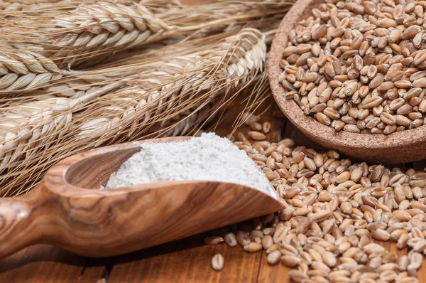 Kaşık un ve buğday taneleri