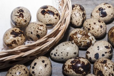 Bıldırcın yumurtası sepet