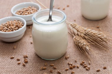 Bir cam kavanoza doğal yoğurt