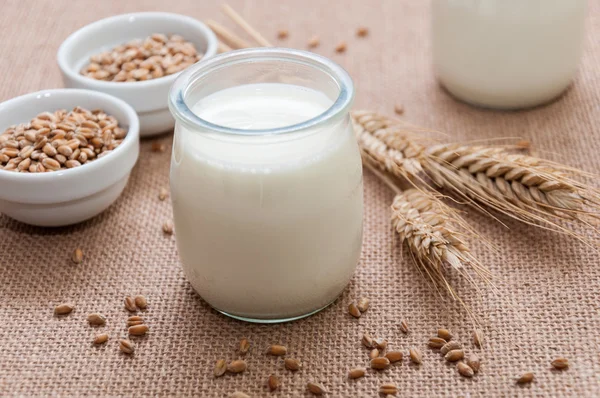 Bir cam kavanoza doğal yoğurt