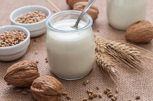 Yogurt naturale in un barattolo di vetro — Foto Stock