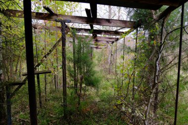 Ormanda terk edilmiş atış poligonu