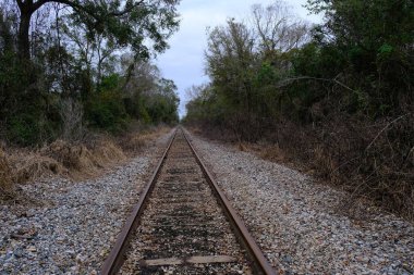 Lafayette Louisiana 'da terk edilmiş bir tren yolu.