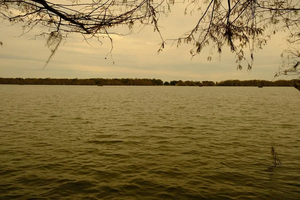 Lac Martin Est Louisiane Viens Ici Pour Pêcher Marcher Souvent — Photo