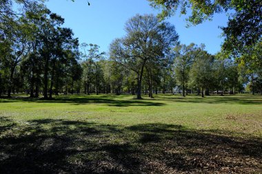 Pa Davis Parkı Lafayette, LA 'de..