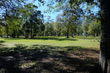 Pa Davis Parkı Lafayette, LA 'de..