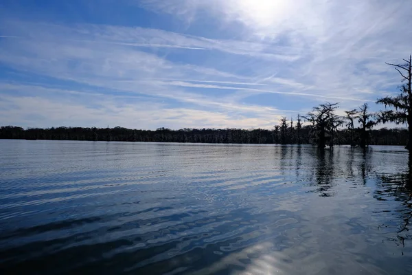 Lago Martin Pântano Breaux Bridge Louisiana — Fotografia de Stock