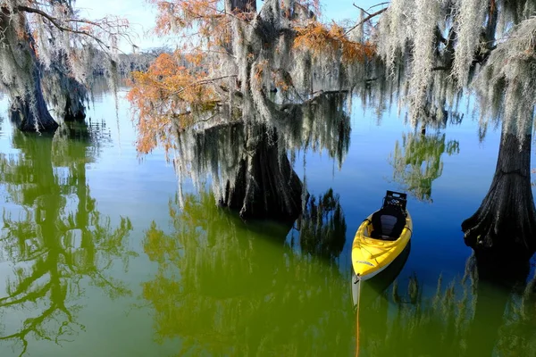 Kajak Vid Sjön Martin Louisiana — Stockfoto