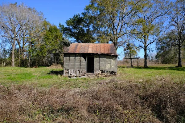 Abandoned House Lake Martin Breaux Bridge Louisiana — Stock Photo, Image