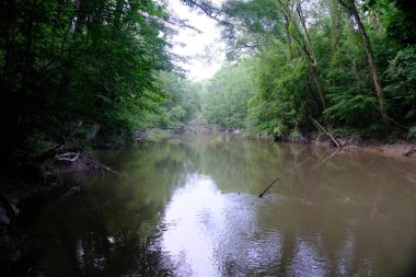 Kisatchie Kızıl Kayalık Nehri Louisiana