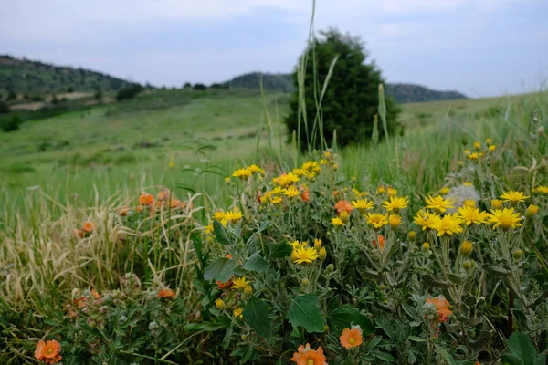 Parque Matthews Winters em Golden Colorado — Fotografia de Stock