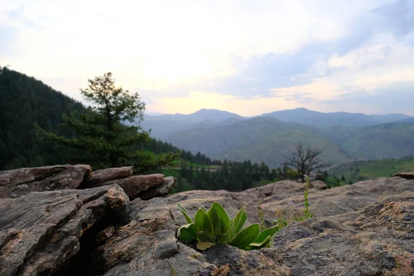 Bella vista sulle montagne del tramonto nel Colorado dorato — Foto Stock