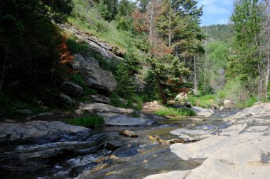 Colorado 'da Beaver Brook Yolu