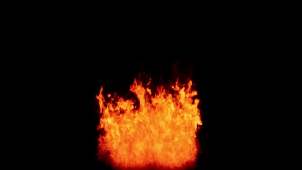 Fire Flames Igniting Burning Alpha Channel Transparent Background Använd Den — Stockvideo