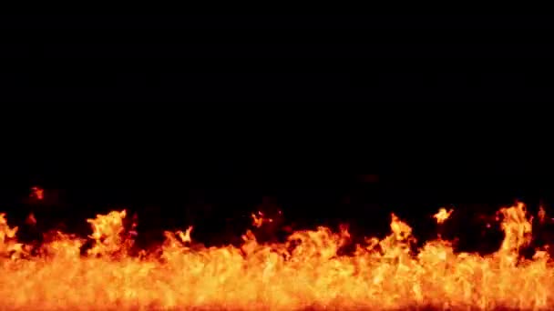Fire Flames Igniting Burning Alpha Channel Transparent Background Gunakan Untuk — Stok Video