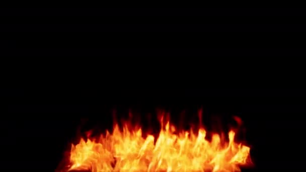 Fire Flames Zapalování Vypalování Alfa Kanálem Průhledné Pozadí Použijte Jej — Stock video