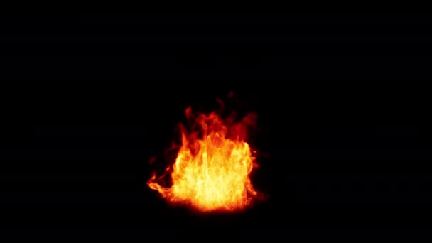 Flames Begin Burn Ignite End Fires Isolated Alpha Channel Transparent — Stock Video