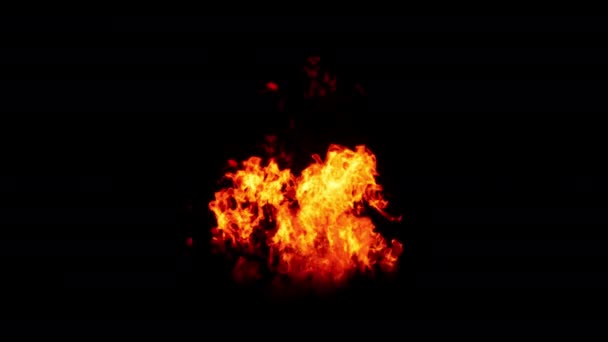 Вогонь Починає Горіти Запалати Кінцем Цих Пожеж Ізольований Альфа Каналом — стокове відео