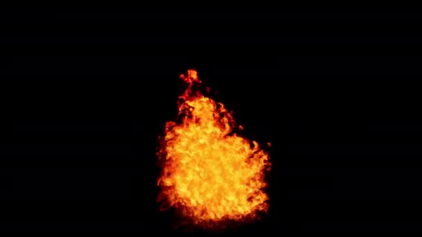 Flăcările Încep Ardă Aprindă Odată Sfârșitul Acestor Incendii Izolate Canalul — Videoclip de stoc