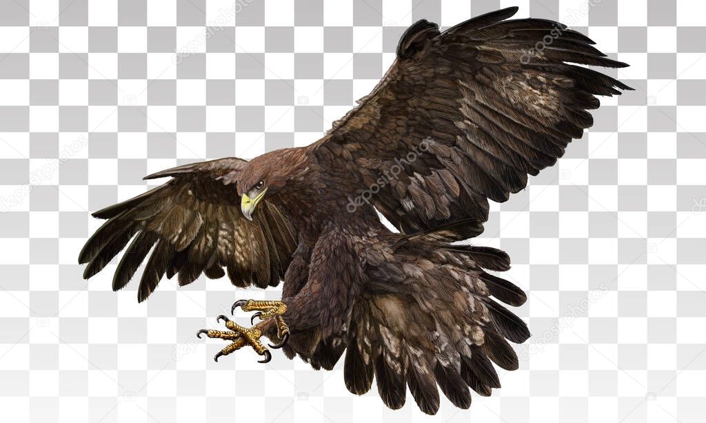 Golden eagle landing hand draw and paint on grey white checkered background vector