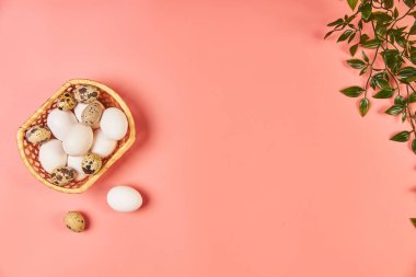 Paskalya için bahar yaprakları pembe arka planda bir sepette yumurtalar