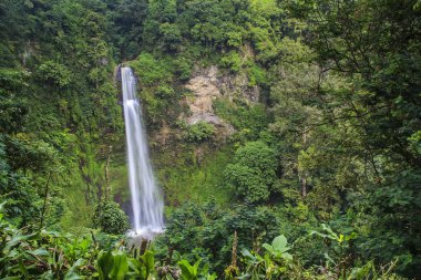 Tropik şelale Endonezya