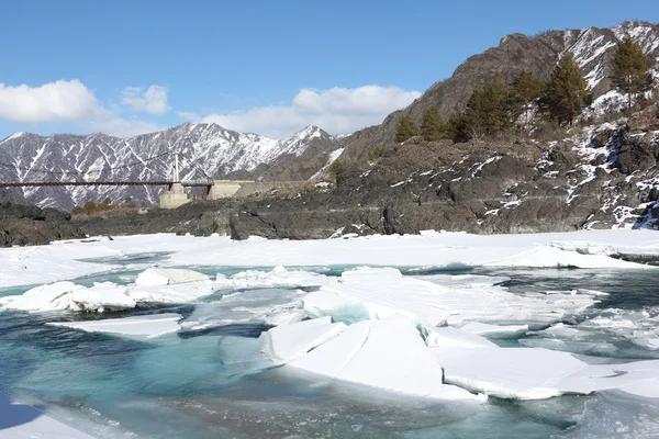 Opening of ice on the turquoise Katun River in the spring — Stock Photo, Image