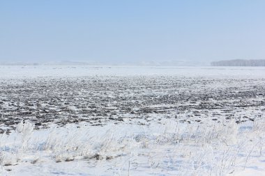 Erken baharda kar sürülmüş alanında 