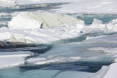 Çözdürme buz dağ nehri erken bahar üzerinde