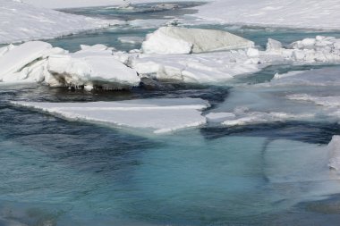 Çözdürme buz dağ nehri erken bahar üzerinde