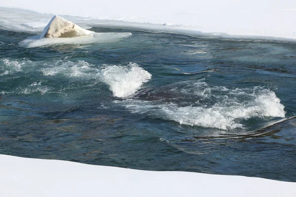 Dégel de la glace sur la rivière au début du printemps — Photo