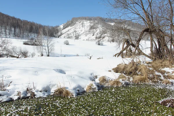 Il fiume ricoperto di alghe in hoarfrost contro le montagne — Foto Stock