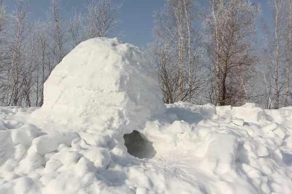 雪冬林间空地上的站着一个圆顶冰屋的建设 — 图库照片