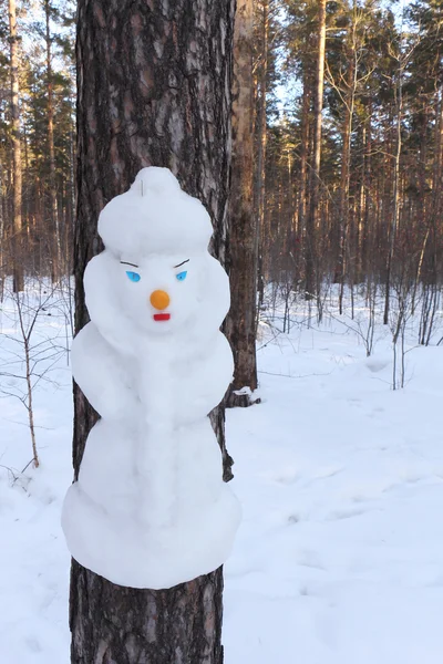 Boneco de neve em um tronco de pinheiro na forma da Donzela de Neve — Fotografia de Stock