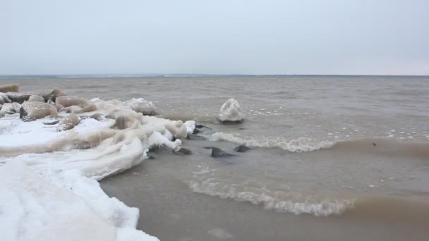 Formation Glace Sur Une Rivière Automne Réservoir Novossibirsk Russie — Video