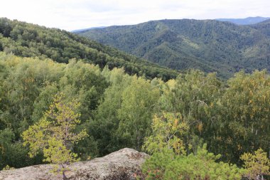 Yazın Rock Ambarchiki 'den, Altai dağlarından, Belokurikha 2, Rusya