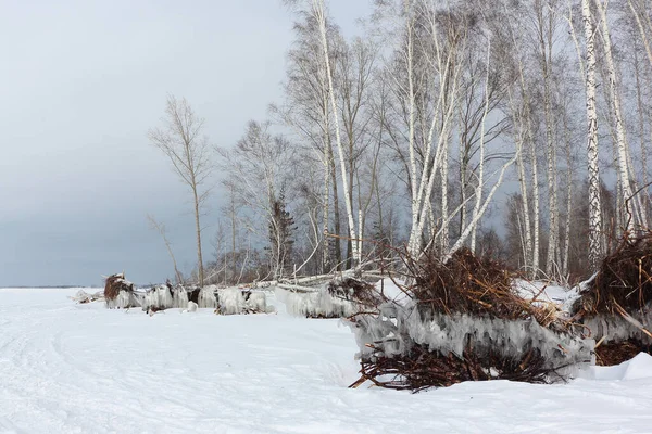 Snowy Eiland Tan Van Winter Reservoir Novosibirsk Rusland — Stockfoto