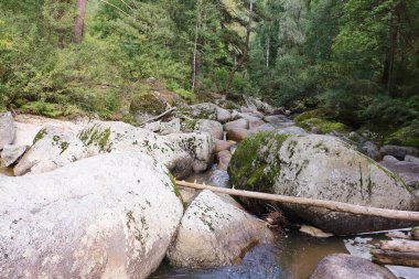 Belokurikha Nehri, Rusya 'nın Altai Bölgesi Belokurikha şehrinin tatil köyünde bir yaz günü